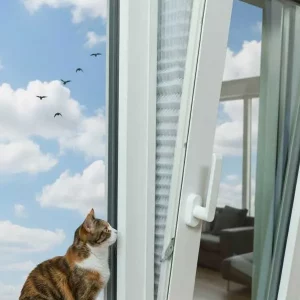 Fenster mit Katze